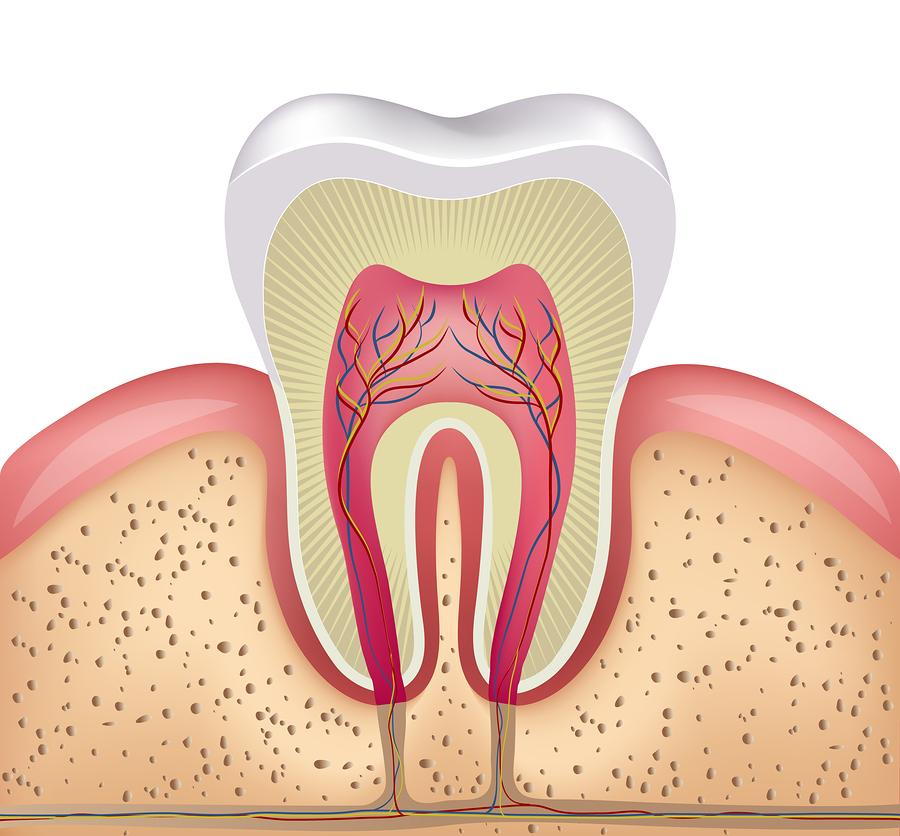 عصب کشی و جراحی دندان